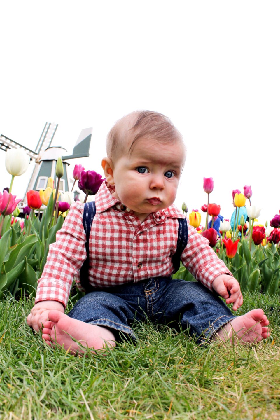 Photo of cute baby at the tulips