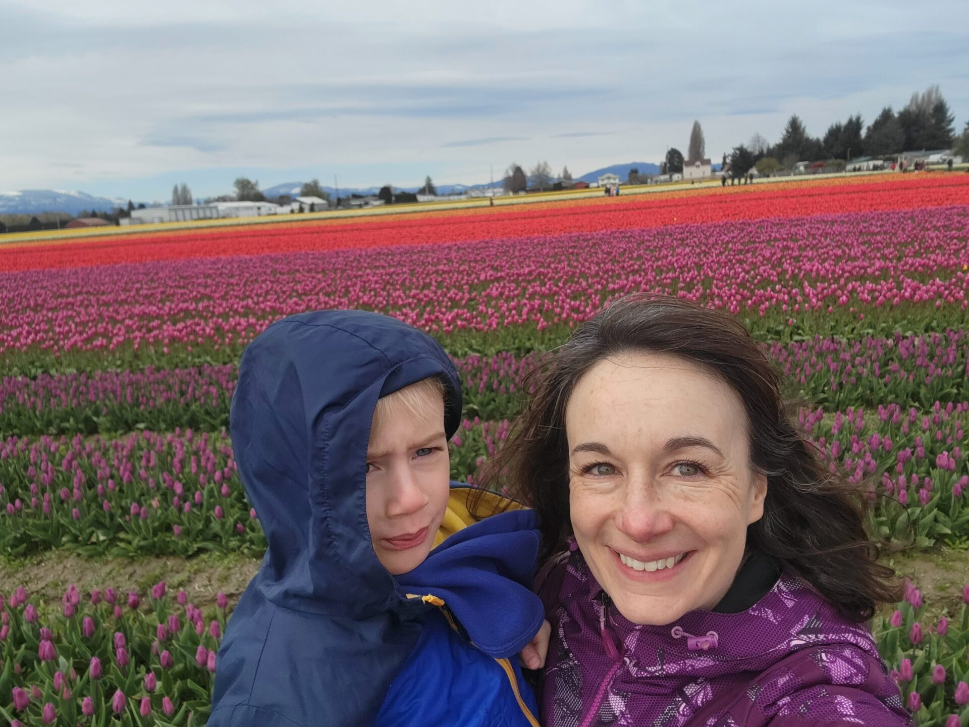 Festival Season from the Kitchen Window: Kristen’s Viewpoint